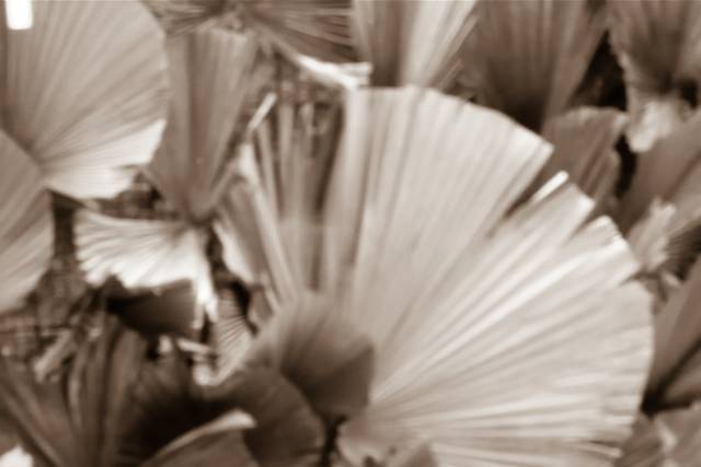 Serviço personalizado