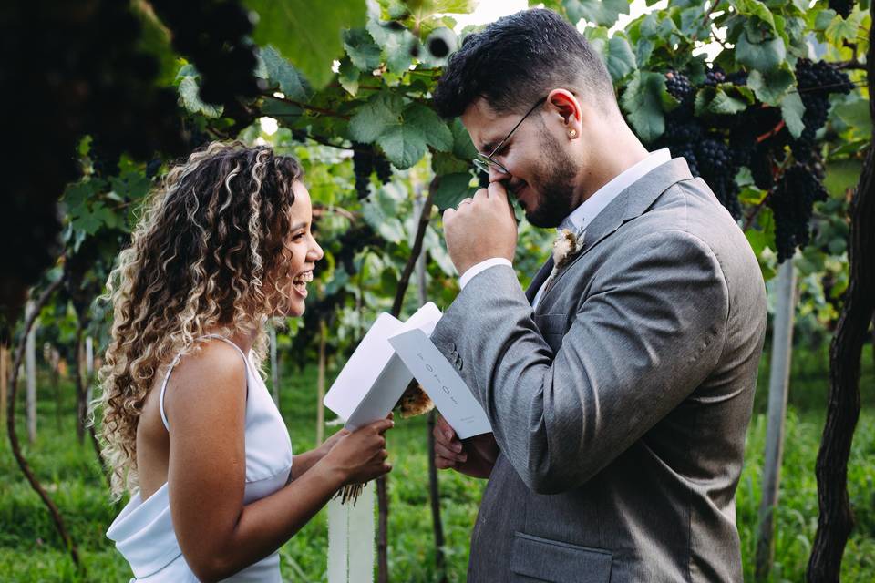 Casamento em Vinícola