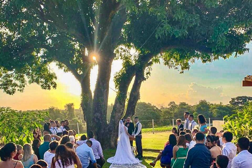 Casamento ao por do sol