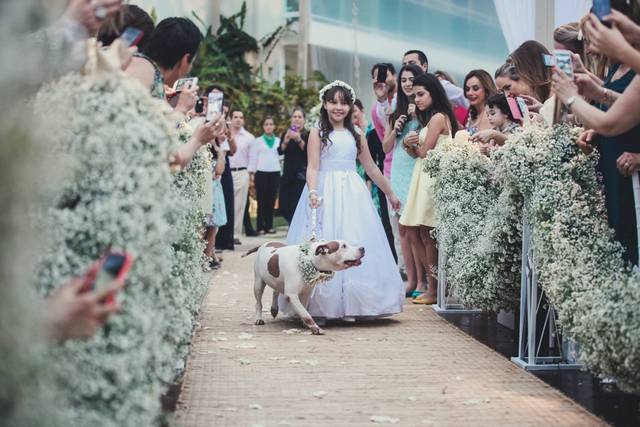 Casamento na praia
