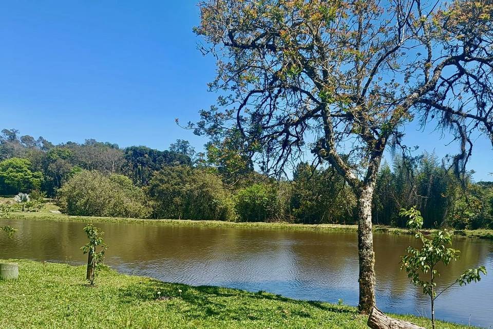Lago