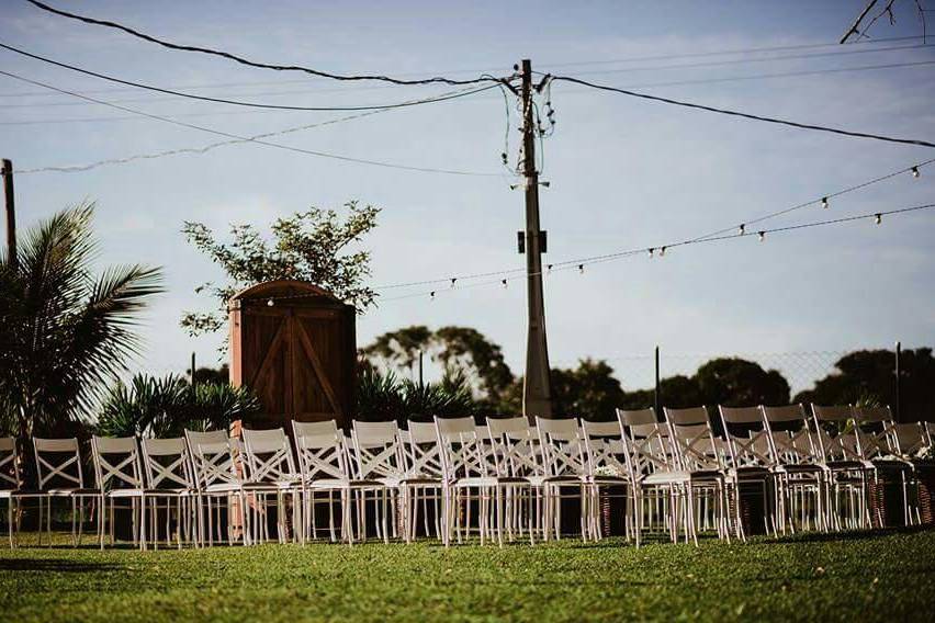 Casamento na Árvore