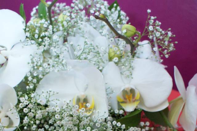 Casamento