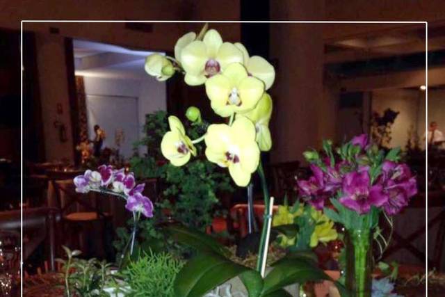 Marbella Eventos