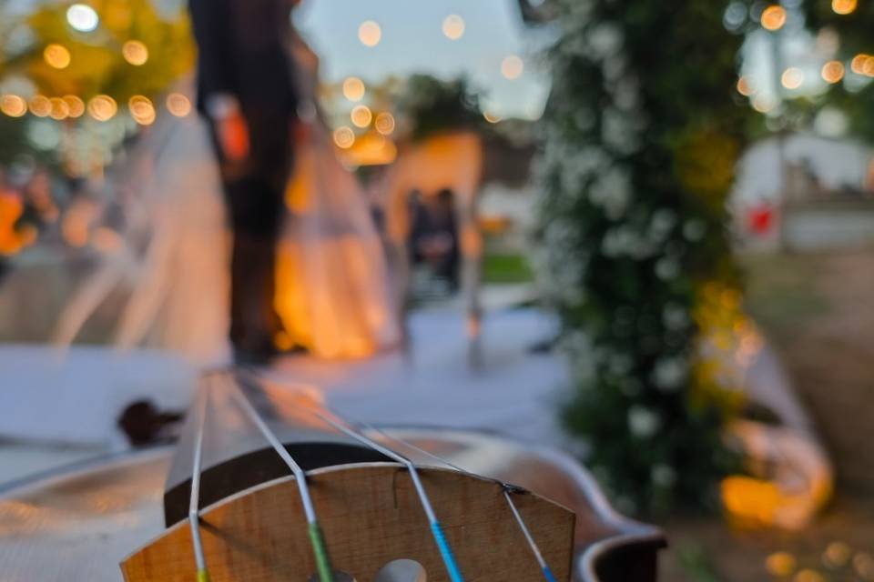 A melhor opção instrumental!