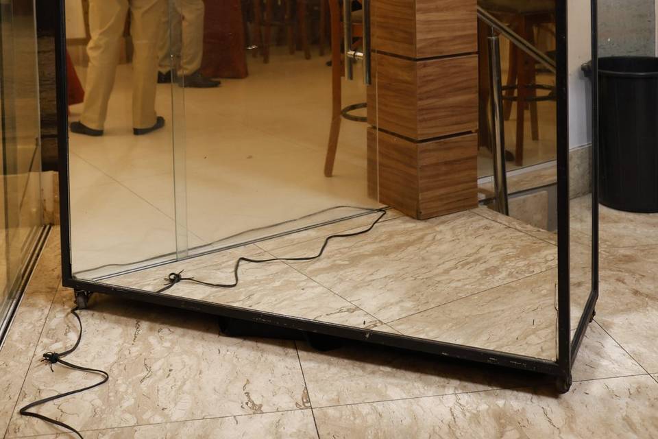 Elegância