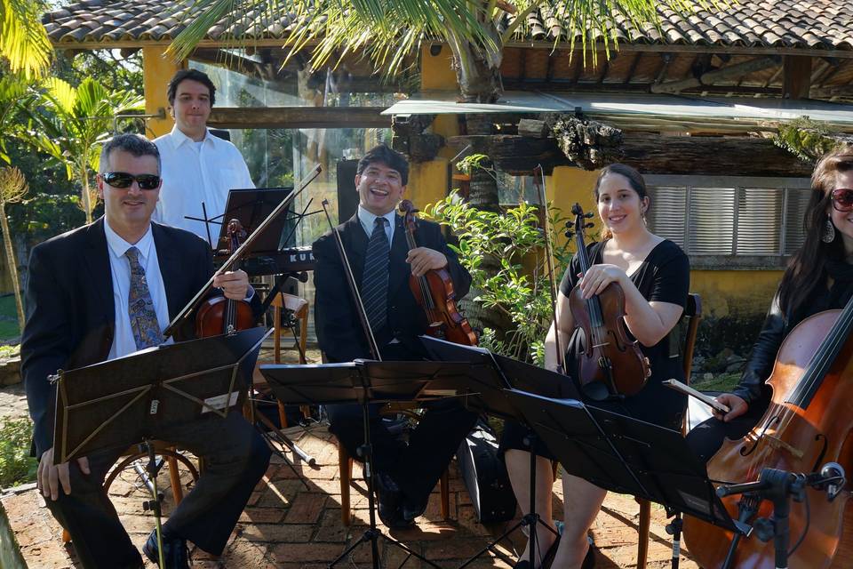 Quarteto de Cordas Pop Praia