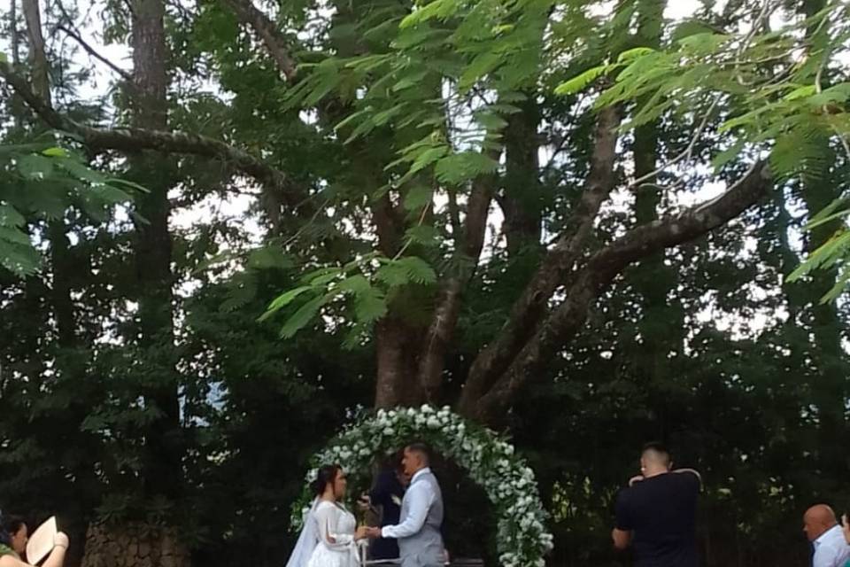 Casamento