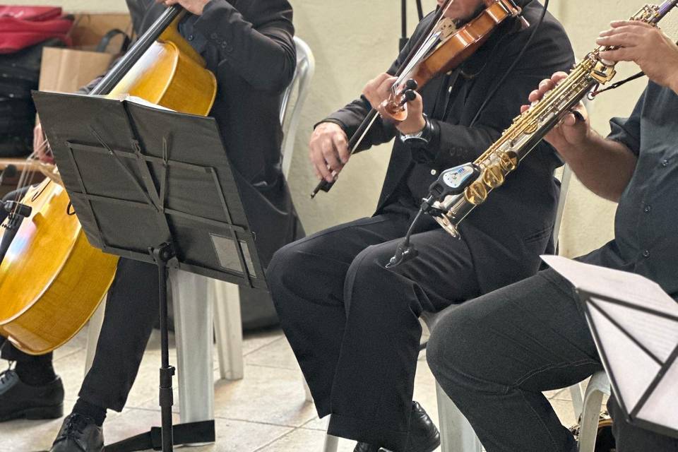 Violino e Cello