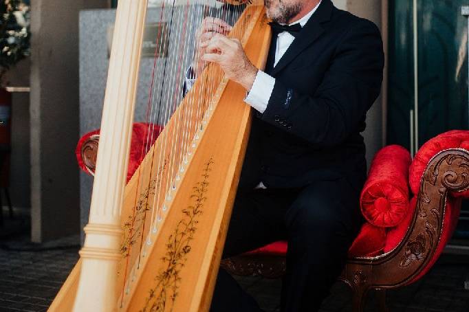 Harpa - Elopment Wedding