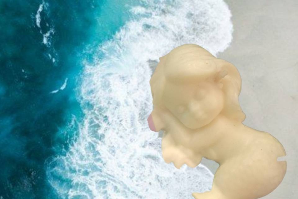 Sereia