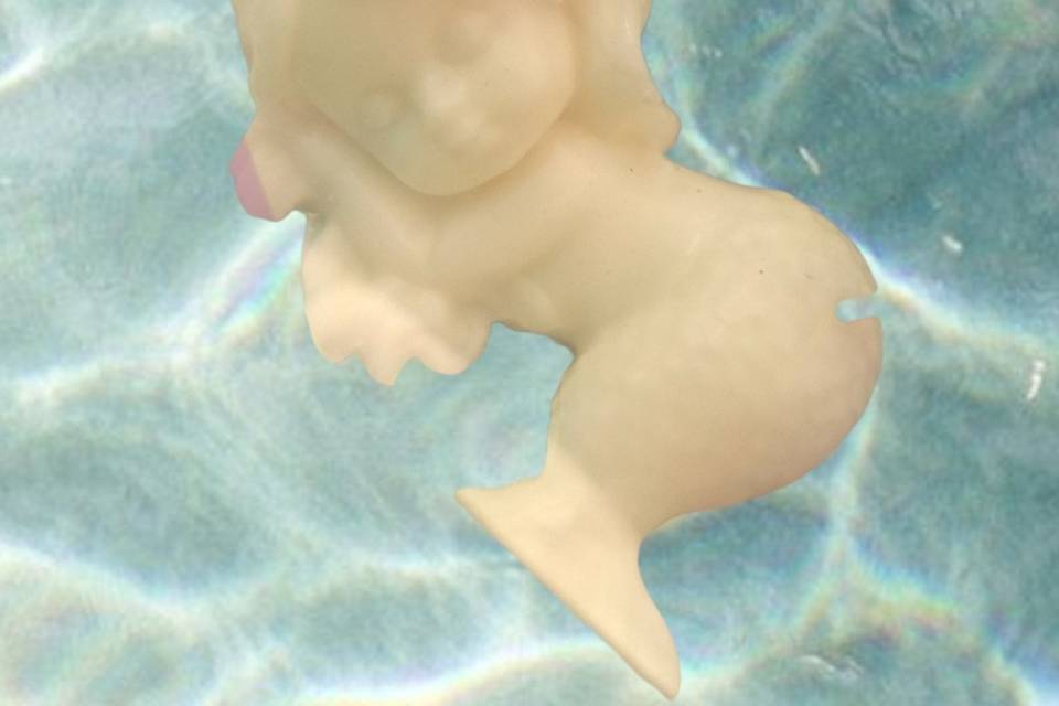 Sereia
