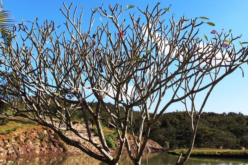 Que céu é esse!