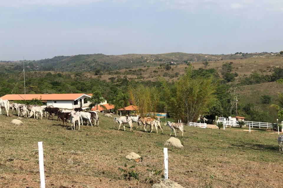 Fazenda Pôr do Sol