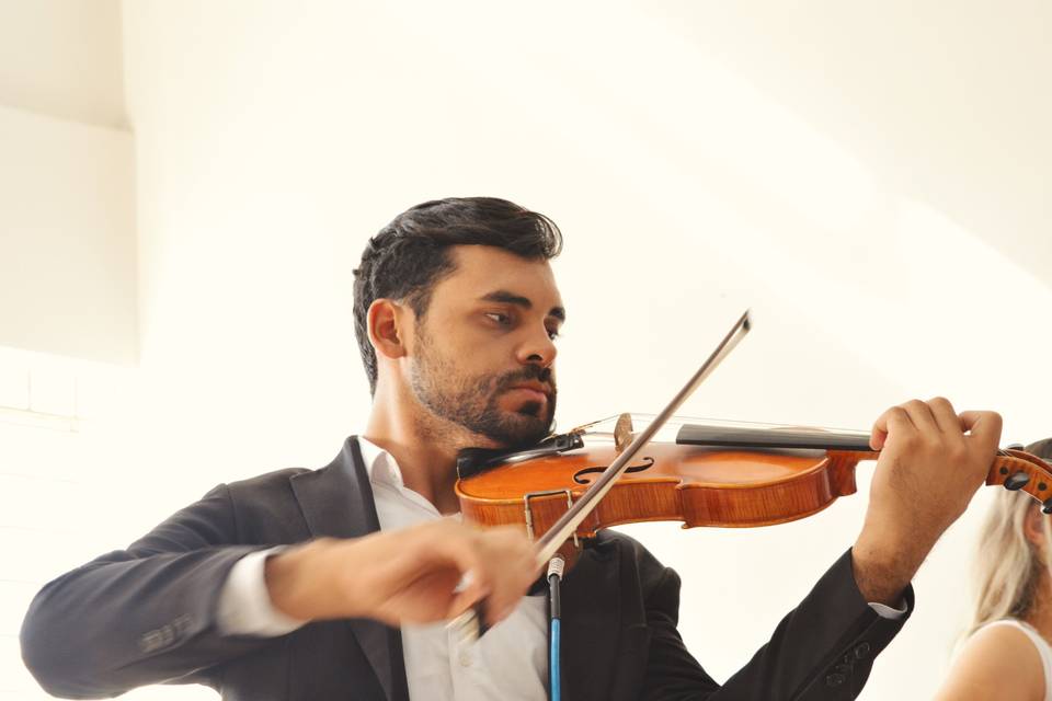 Violinista