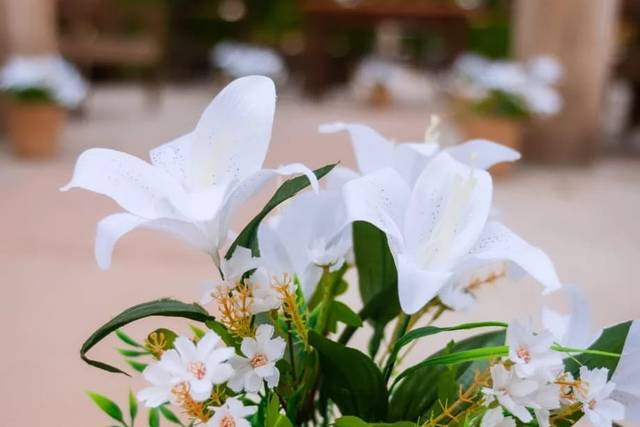 Cachepos com flores