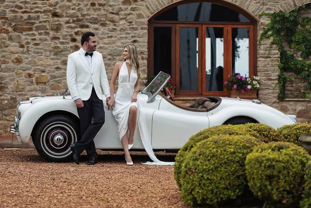 Jaguar Branco
