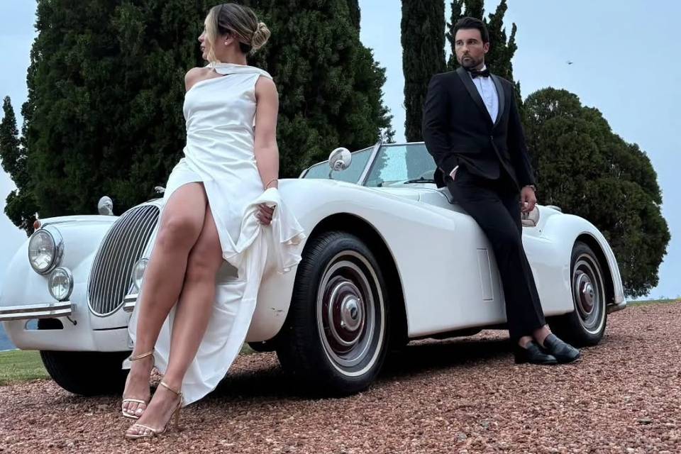 Jaguar Branco