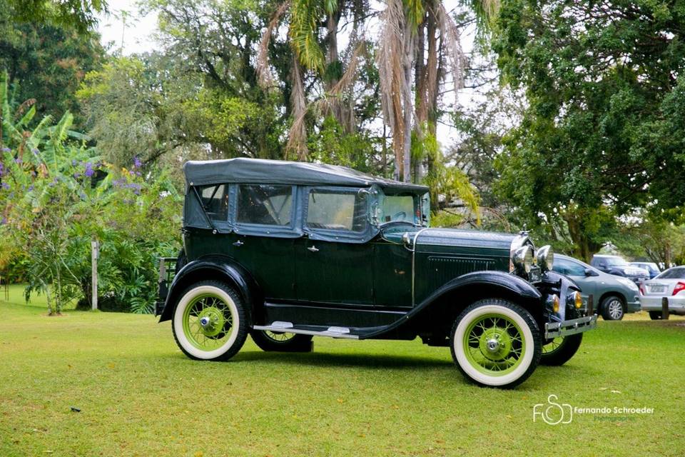 Ford 31