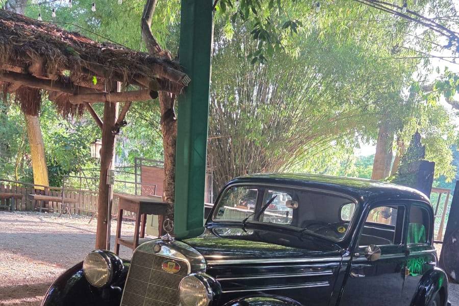 Mercedes 1951
