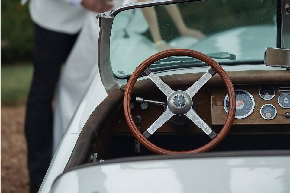 Jaguar Branco