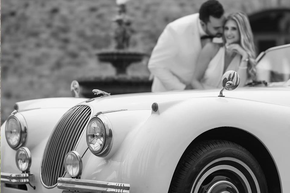 Jaguar Branco