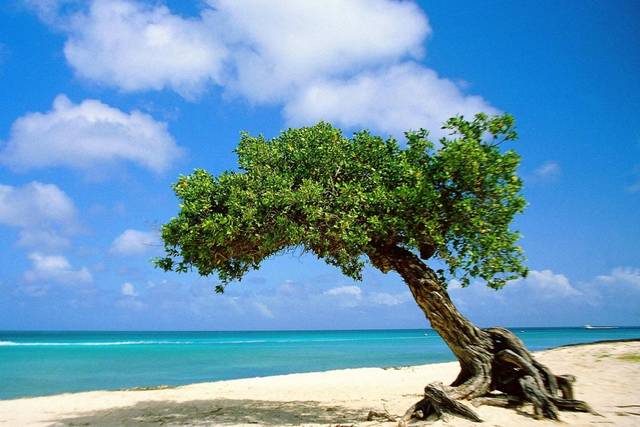 Aruba