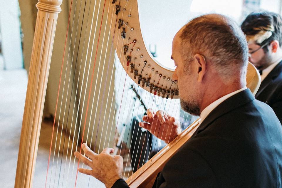 Harpa e Violino