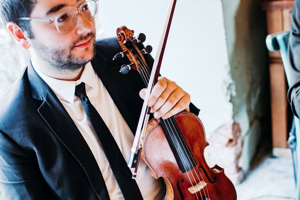 Violino