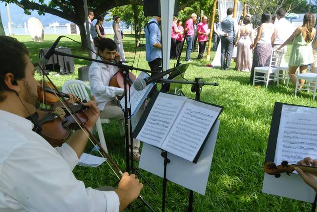 Quarteto de cordas