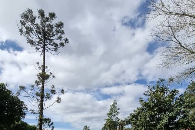 Ampla área verde / gramado