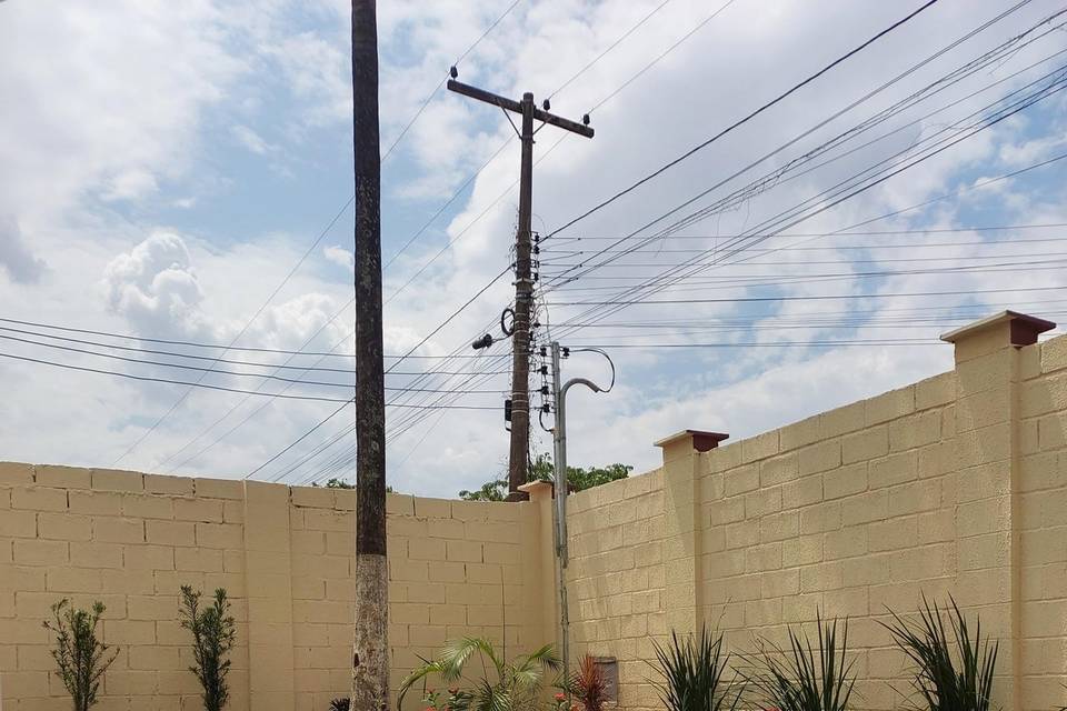 Jardim
