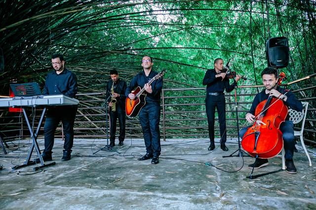 Especialistas em instrumentais