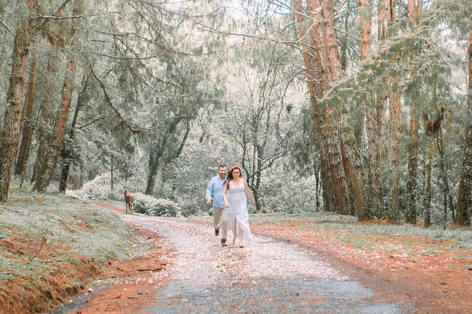 Pré Wedding na floresta