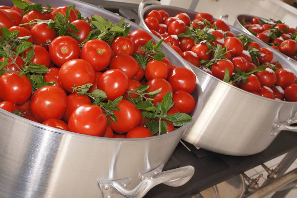 Preparando o molho de tomate