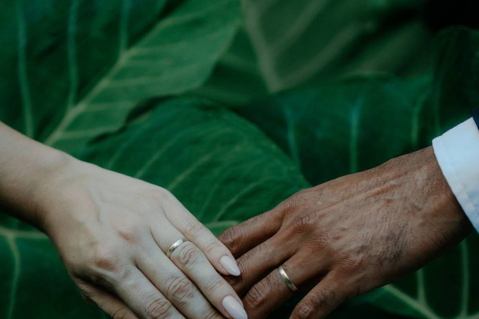 Casamento Bianca e Lucas