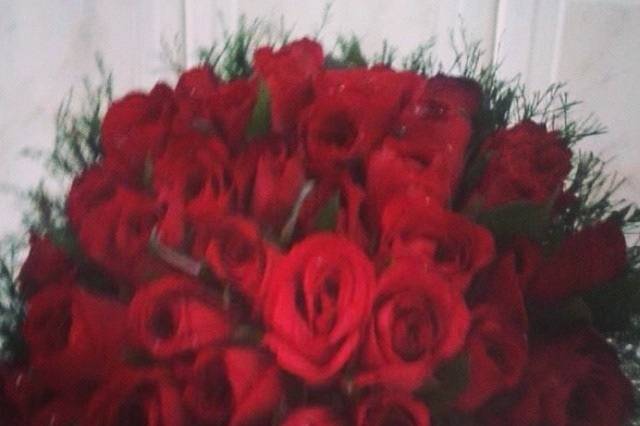 Rosas Vermelhas