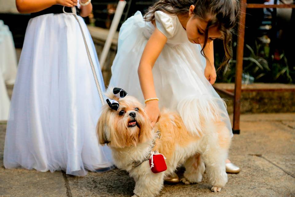 Casamento Fim de Tarde