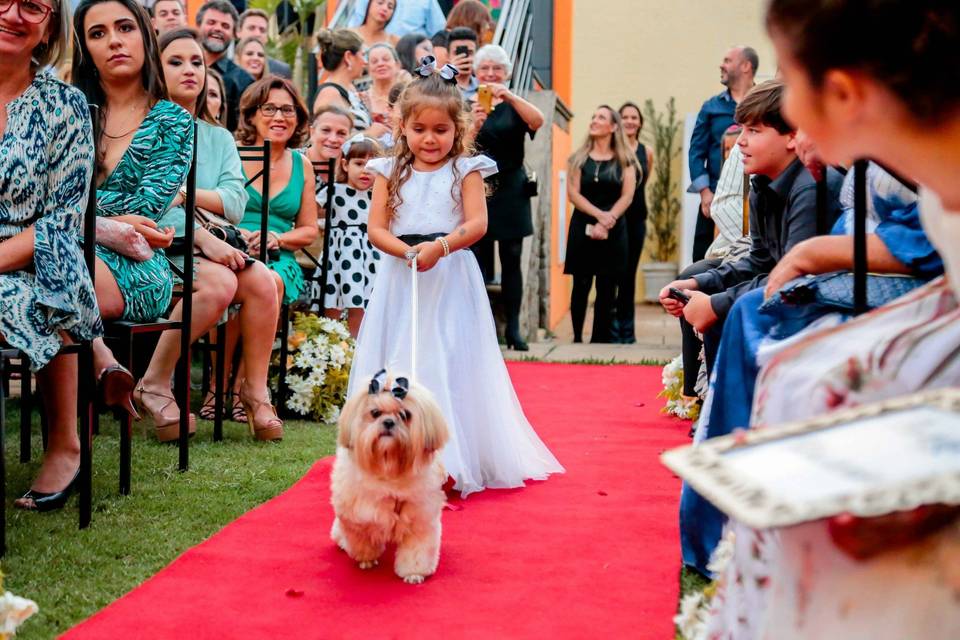Casamento Fim de Tarde