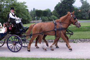 Mariage romantique