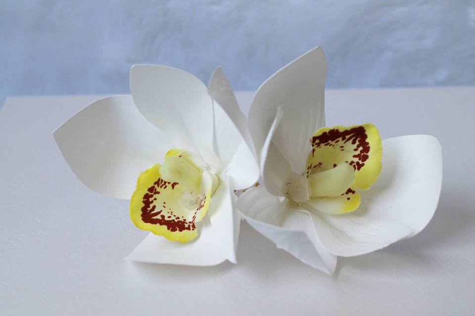 Orquídeas em alta