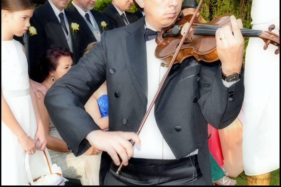 Cortejo violino