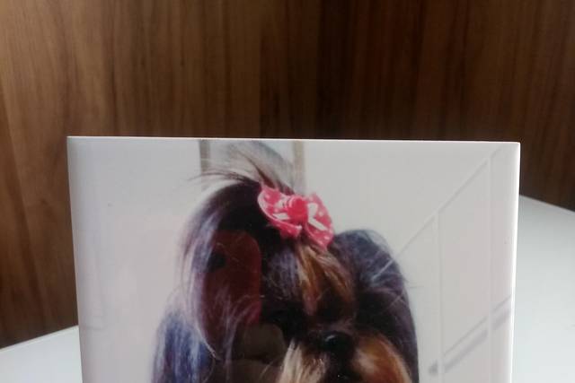 Azulejo Personalizado