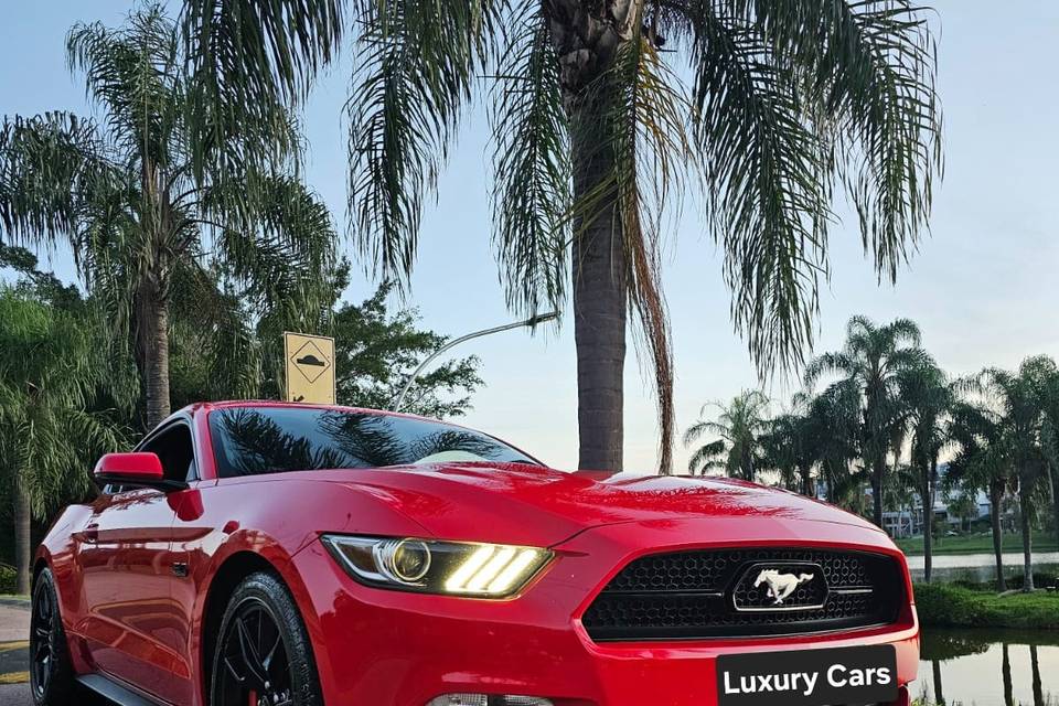 Luxury Cars