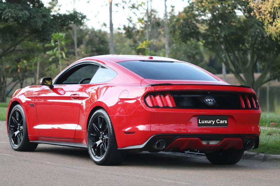Luxury Cars