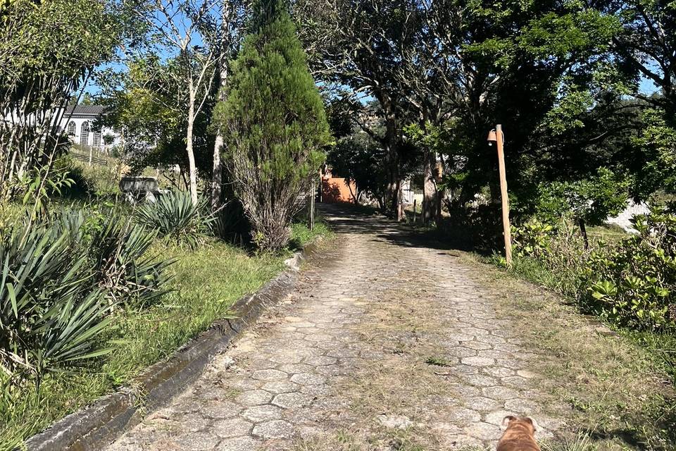 Entrada arborizada