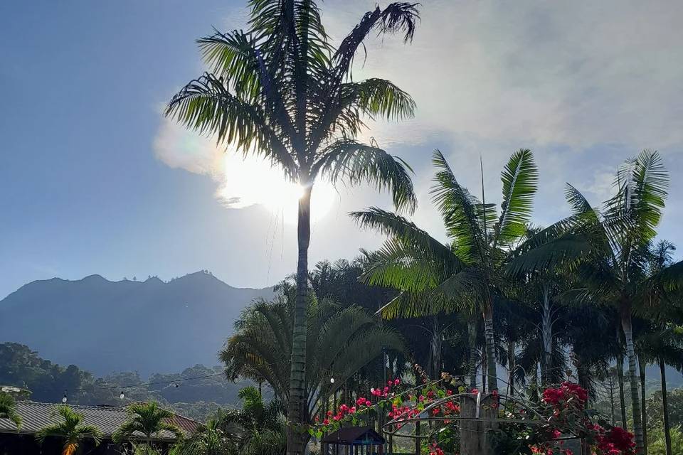 Natureza
