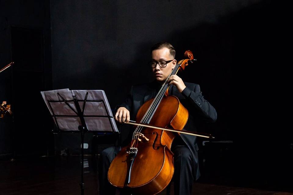 Violoncelo