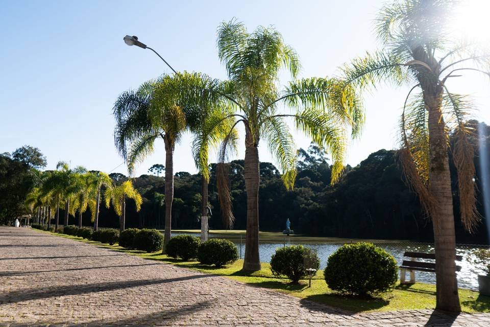 Rua dos Coqueiros