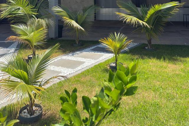 Jardim